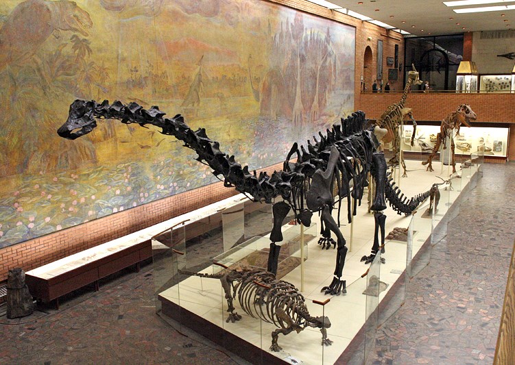 Палеонтологический музей. Москва
