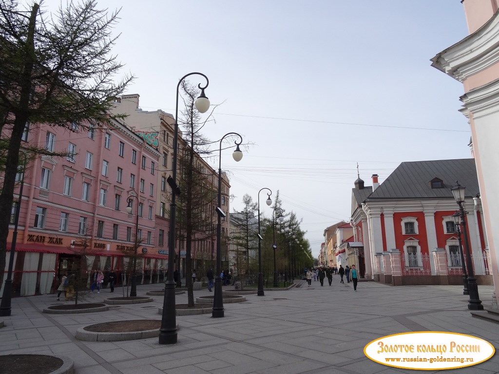 Пешеходная улица на Васильевском острове. Санкт-Петербург