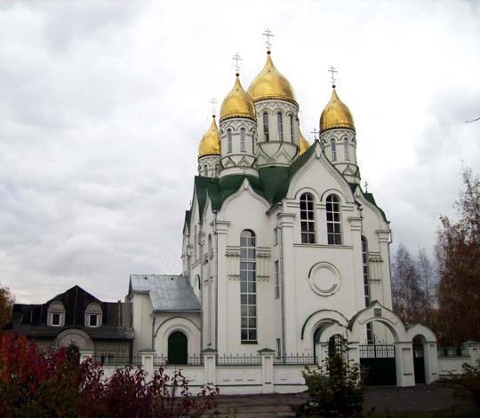 Церковь Александра Невского. Рязань